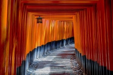 토리 일본어 신사 - Pixabay의 무료 사진