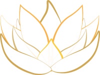 Free Lotus Seed Vector Art - Download 462+ Lotus Seed Icons & Graphics - Pixabay