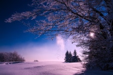 Winter Snow Sunset - Free photo on Pixabay