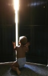 100,000+ Free Legs In Window & Window Images - Pixabay