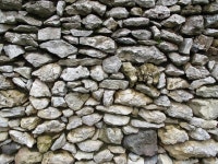 20+ Free Sanjo & Wall Images - Pixabay