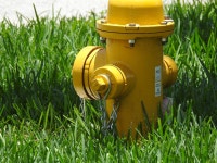 불 소방 호스 비상 - Pixabay의 무료 사진