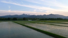 동물 논 밭 물가 - Pixabay의 무료 사진