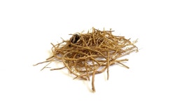 10,000+ Free Dried Herbs & Nature Photos - Pixabay
