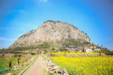 제주도 산방산 - Pixabay의 무료 사진