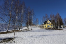 Hokkaido Tree - Free photo on Pixabay - Pixabay Hokkaido Tree - Free photo on Pixabay