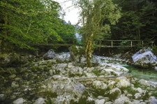 물 튀김 숲 - Pixabay의 무료 사진