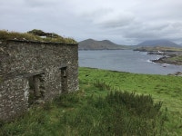 Tom1351 - Pixabay Download free media from Tom1351 | Pixabay