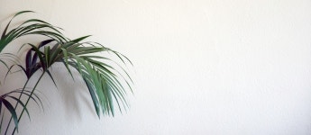 배경 웹사이트 공장 · Pixabay의 무료 사진