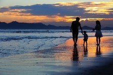 강아지풀 노을 다대포 - Pixabay의 무료 사진