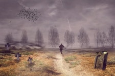 노인 이동 삭제 표시 · Pixabay의 무료 사진 Pixabay의 무료 이미지 - 노인, 이동, 삭제 표시, 기념하다, 무덤, 폐기즈