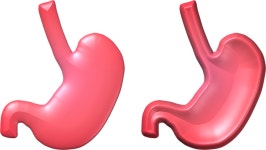 Cg 이미지 · Pixabay · 무료 사진 다운로드