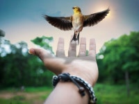 크리에이 티브 꿈 아트웍 · Pixabay의 무료 사진 Pixabay의 무료 이미지 - 크리에이 티브, 꿈, 아트웍, 상상력, 창의력, 초현실주의