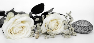 장미 결혼식 웨딩 · Pixabay의 무료 사진