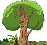 Free Oaks Vector Art - Download 147+ Oaks Icons & Graphics - Pixabay