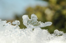 Snow Winter 눈 - Pixabay의 무료 사진