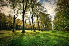 70,000+ Free Herman Park & Park Photos - Pixabay