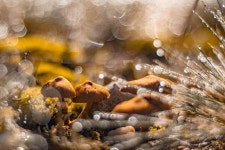 자연 모놀리식의 부분 바다 밖의 - Pixabay의 무료 사진 - Pixabay 자연 모놀리식의 부분 바다 밖의 - Pixabay의 무료 사진