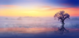 Nature Sunset Dawn - Free photo on Pixabay