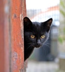 moni08 - Pixabay Download free media from moni08 | Pixabay