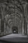 10,000개 이상 무료 Goth 아 및 자연 사진 - Pixabay