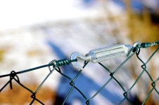Wire Barbed - Free photo on Pixabay