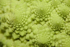 400+ Free Broccoli & Broccoli Photos - Pixabay