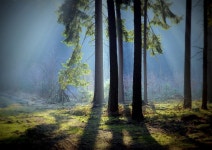 40개 이상 무료 Mati 및 자연 사진 - Pixabay