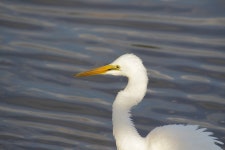 물이 몸 호수 경치 - Pixabay의 무료 사진