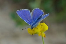 20개 이상 무료 Azure 창 및 몰타 사진 - Pixabay