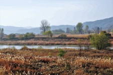 1개 이상 무료 강천섬 및 가을풍경 사진 - Pixabay