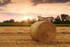 1,000+ Free The Hay Field & Hay Images