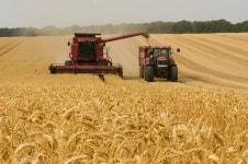 20+ Free Fieldwork & Agriculture Photos - Pixabay