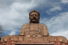 페이지 2 - 10,000개 이상 무료 Big Tiger 및 호랑이 사진 - Pixabay
