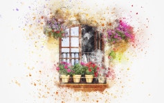 발코니 꽃 아트 · Pixabay의 무료 이미지 Pixabay의 무료 이미지 - 발코니, 꽃, 아트, 개요, 수채화, 자연, 포도주, T 셔츠