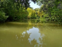 10+ Free River Tisza & Tisza Images - Pixabay