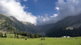 초원 Upperdir Kpk - Pixabay의 무료 사진