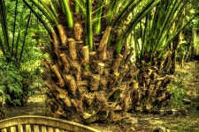 공원 뿌리 자연 - Pixabay의 무료 사진