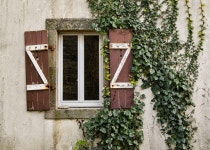 창 아이비 하우스 · Pixabay의 무료 사진 Pixabay의 무료 이미지 - 창, 아이비, 하우스, 늙은, 외관