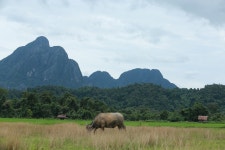 Laos Vang Vieng The - Free photo on Pixabay