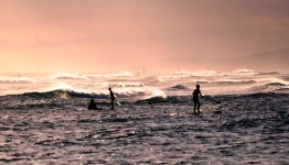하와이 오아후 섬 호놀룰루 - Pixabay의 무료 사진