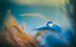 100,000+ Free Blue Balance & Balance Images - Pixabay