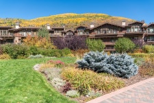 Vail Colorado Foliage Log - Free photo on Pixabay - Pixabay Vail Colorado Foliage Log - Free photo on Pixabay
