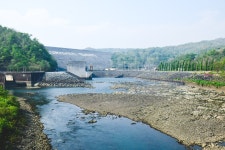 River Drain Water Root - Free photo on Pixabay