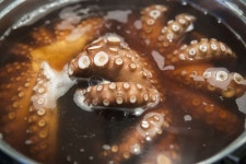 낙 지 조리 맛 있는 - Pixabay의 무료 사진 Pixabay의 무료 이미지 - 낙 지, 조리, 맛 있는, 요리사, 해산물, 파프리카, 건강 한