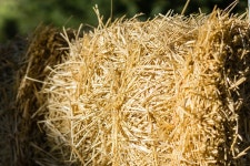 건초 농업 먹이 - Pixabay의 무료 사진 Pixabay의 무료 이미지 - 건초, 농업, 먹이, 농지, 밀짚, 잔디, 개요, 목장