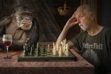 Composing Monkey Photomontage - Free photo on Pixabay Free Image on Pixabay - Composing, Monkey, Photomontage