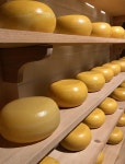 70+ Free Gouda & Cheese Photos - Pixabay