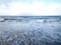 60+ Free Baltrum & North Sea Photos - Pixabay
