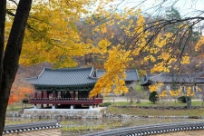 Korea Temple Autumn - Pixabay의 무료 사진